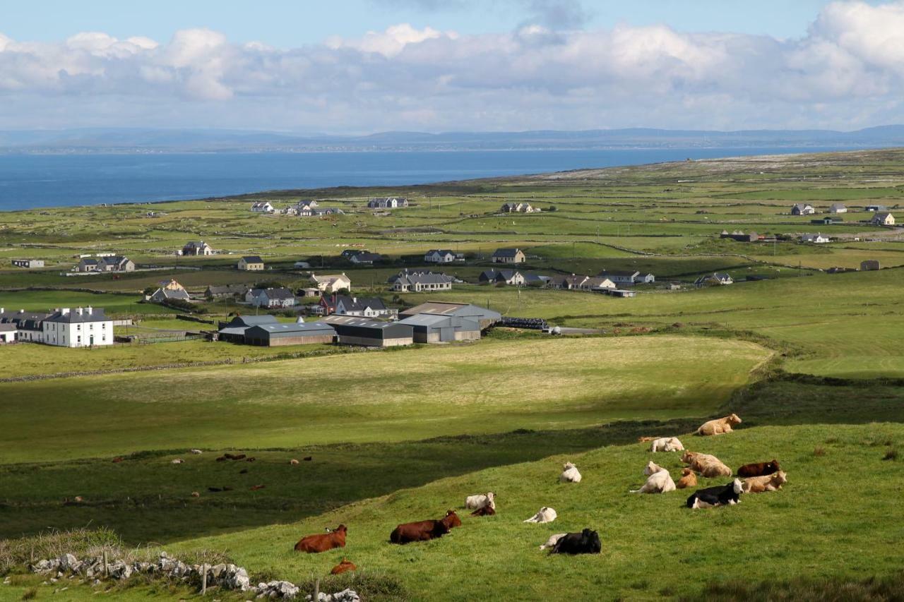 Atlantic Rose Cottage Doolin Dış mekan fotoğraf